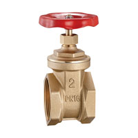 Brass gate valve