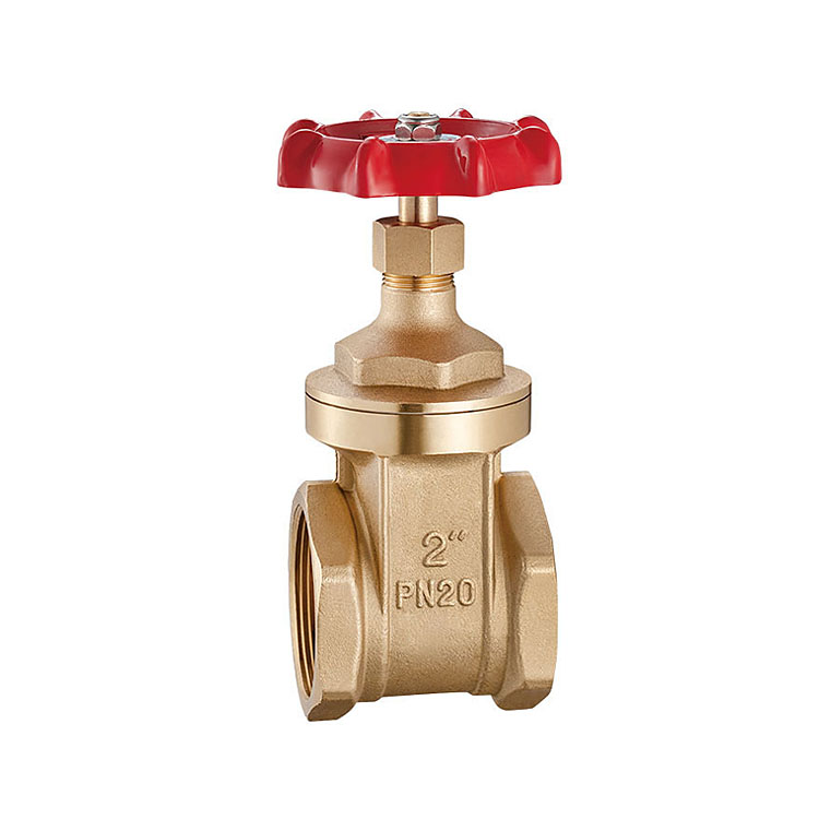 2900  Brass gate valve